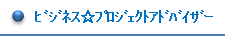 ビジネス☆プロジェクトアドバイザー